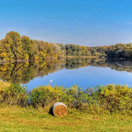 öko és Glamping Campo de lujo *